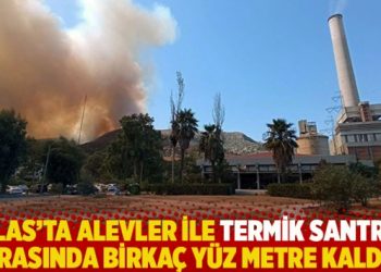 Milas’ta alevler ile termik santral arasında birkaç yüz metre kaldı!