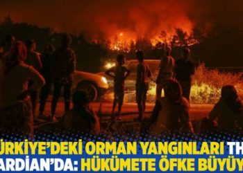 Türkiye’deki orman yangınları The Guardian’da: Hükümete öfke büyüyor