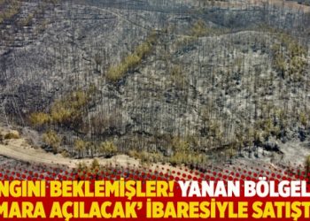 Yangını beklemişler! Yanan bölgeler ‘imara açılacak’ ibaresiyle satışta