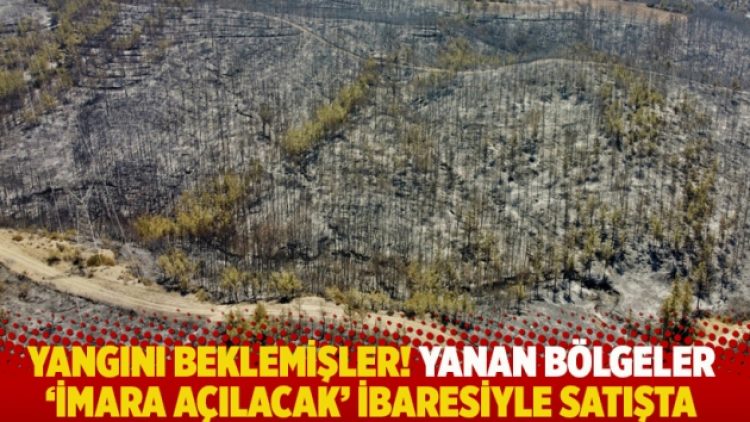 Yangını beklemişler! Yanan bölgeler ‘imara açılacak’ ibaresiyle satışta