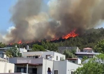Bodrum’daki yangınla ilgili üç kişi tutuklandı: Arabadan izmarit atmışlar