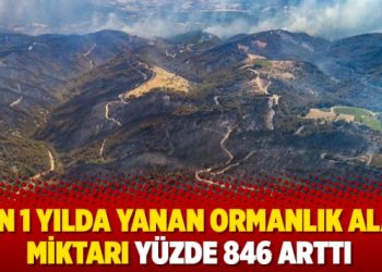 Son 1 yılda yanan ormanlık alan miktarı yüzde 846 arttı