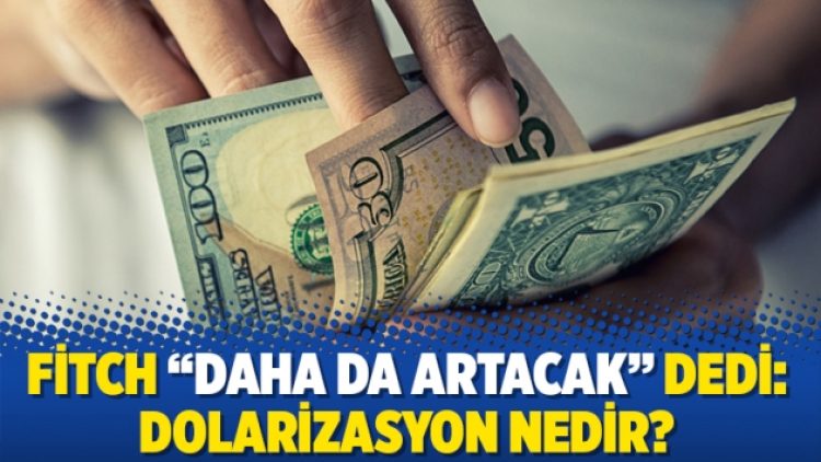 Fitch “daha da artacak” dedi: Dolarizasyon nedir?