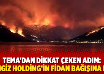 TEMA’dan dikkat çeken adım: Cengiz Holding’in fidan bağışına ret