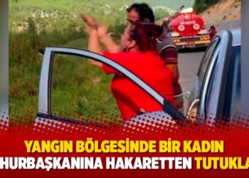 Yangın bölgesinde bir kadın cumhurbaşkanına hakaretten tutuklandı