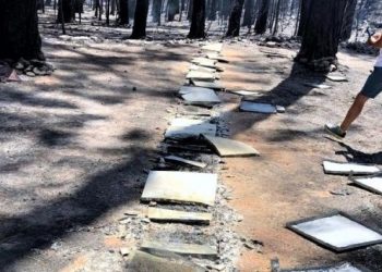 Marmaris’teki yangın çam balını yok etti