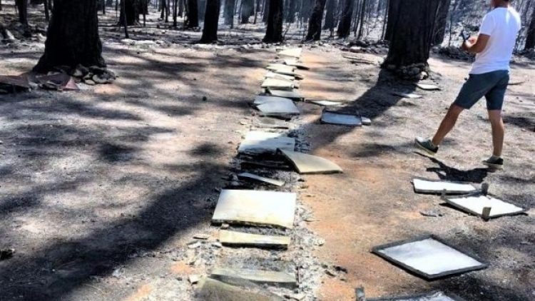 Marmaris’teki yangın çam balını yok etti