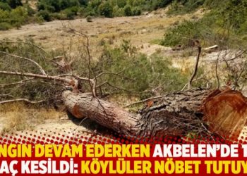 Yangın devam ederken Akbelen’de 100 ağaç kesildi: Köylüler nöbet tutuyor
