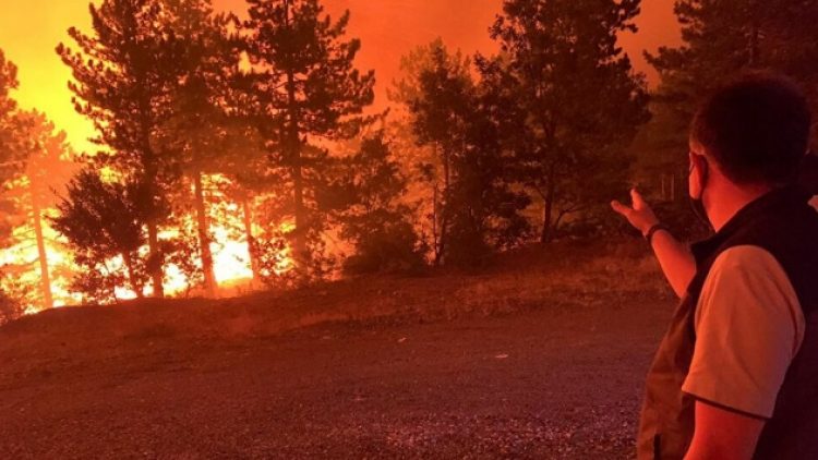 Pakdemirli: Yangınlar hafiflerse Yunanistan’a uçak sağlayabiliriz