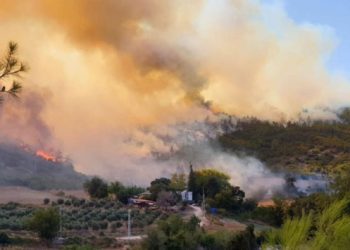 Orman yangınlarında 13. gün: 2 ilde 5 noktada devam ediyor