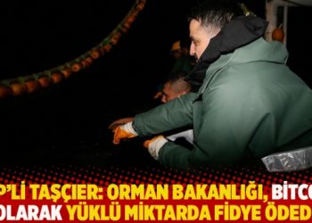 CHP’li Taşçıer: Orman Bakanlığı, Bitcoin olarak yüklü miktarda fidye ödedi
