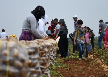 6 yılda 10 binden fazla kişi tarım ilaçlarından zehirlendi