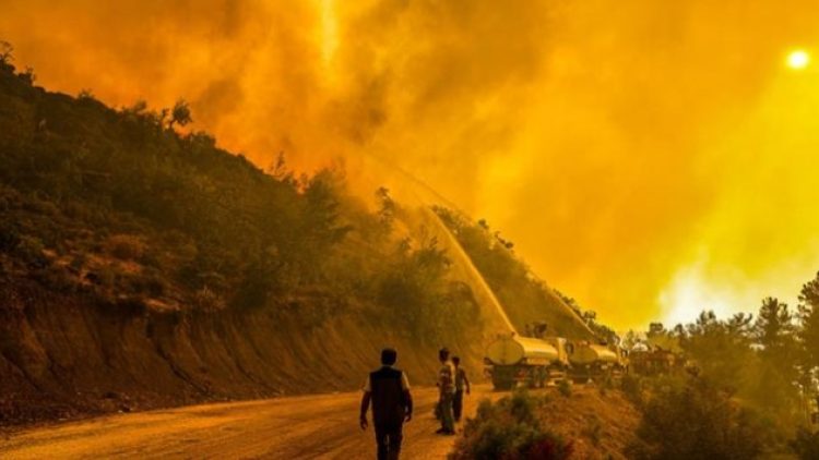 Manavgat’ta yine yangın başladı