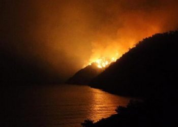 RTÜK’ten altı kanala ‘orman yangını’ cezası