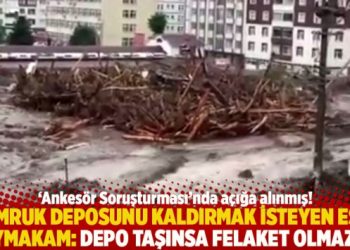 Tomruk deposunu kaldırmak isteyen eski kaymakam: Depo taşınsa felaket olmazdı!