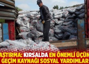 Araştırma: Kırsalda en önemli üçüncü geçim kaynağı sosyal yardımlar