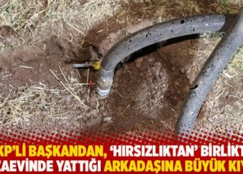 AKP’li başkandan, ‘hırsızlıktan’ birlikte cezaevinde yattığı arkadaşına büyük kıyak