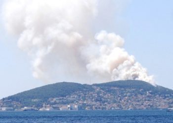 Heybeliada’da orman yangını: Kontrol altına alındı