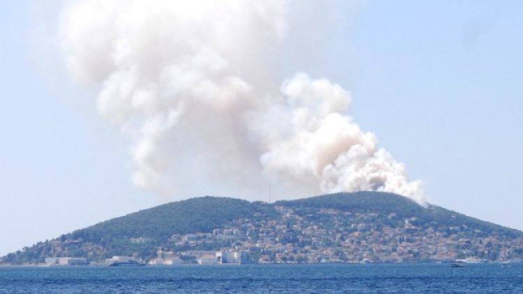 Heybeliada’da orman yangını: Kontrol altına alındı