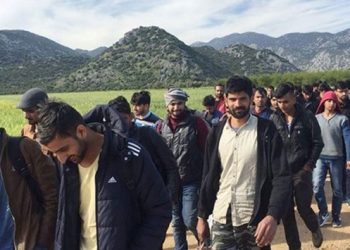 İngiltere Savunma Bakanı: Pakistan ve Türkiye gibi ülkelerde mülteci merkezleri kurmayı planlıyoruz