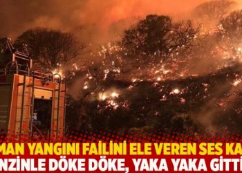 Orman yangını failini ele veren ses kaydı: Benzinle döke döke, yaka yaka gittim!