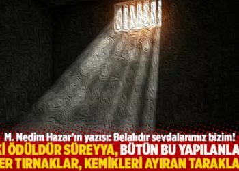 “Ki ödüldür Süreyya, bütün bu yapılanlar, etler tırnaklar, kemikleri ayıran taraklar..”