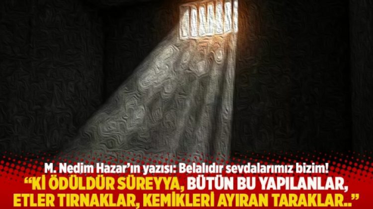 “Ki ödüldür Süreyya, bütün bu yapılanlar, etler tırnaklar, kemikleri ayıran taraklar..”