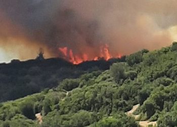 Aynı bölgede bir ay içinde 10 kez yangın çıktı