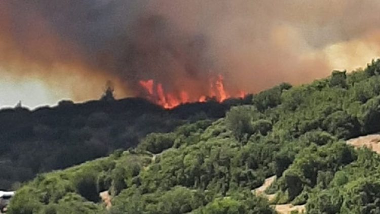 Aynı bölgede bir ay içinde 10 kez yangın çıktı
