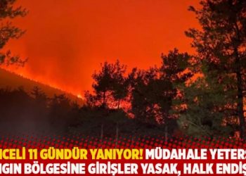 Tunceli 11 gündür yanıyor! Müdahale yetersiz, yangın bölgesine girişler yasak, halk endişeli