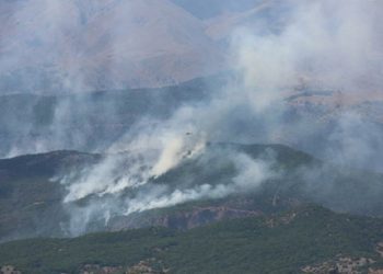 Tunceli’de yangın 12’nci gününde: Havadan müdahale şart