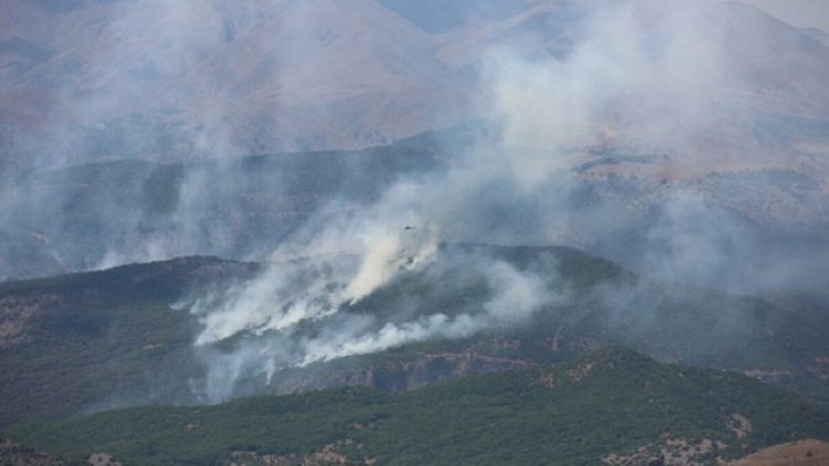 Tunceli’de yangın 12’nci gününde: Havadan müdahale şart