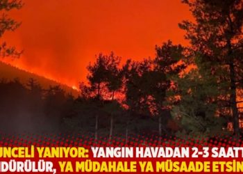 Tunceli yanıyor: Yangın havadan 2-3 saatte söndürülür, ya müdahale ya müsaade etsinler