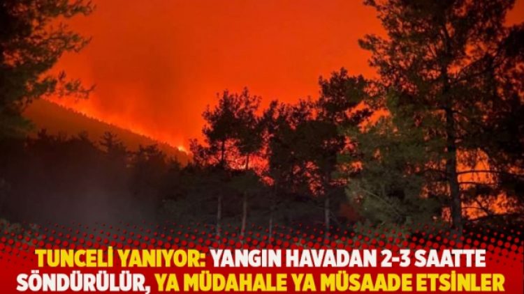Tunceli yanıyor: Yangın havadan 2-3 saatte söndürülür, ya müdahale ya müsaade etsinler