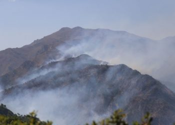 Roj Deresi’ndeki yangına 3 gündür müdahale edilmiyor