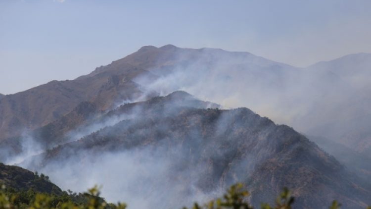 Roj Deresi’ndeki yangına 3 gündür müdahale edilmiyor