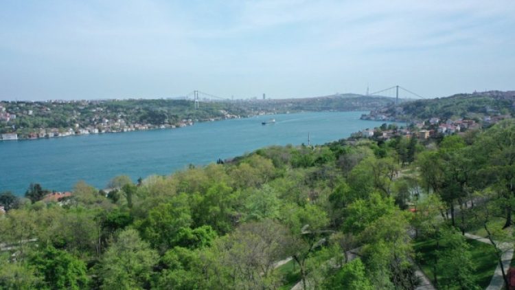 İstanbul’da ormanlara giriş yasağı 1 ay daha uzatıldı