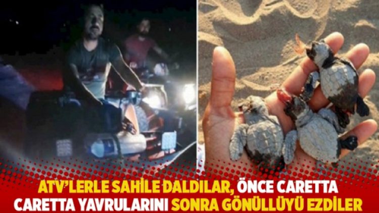 ATV’lerle sahile daldılar, önce caretta caretta yavrularını sonra gönüllüyü ezdiler