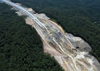 AB’de ormanlık alanlar son 30 yılda arttı, Türkiye ortalamanın çok altında yer aldı