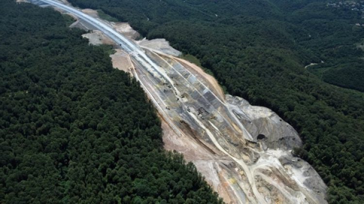 AB’de ormanlık alanlar son 30 yılda arttı, Türkiye ortalamanın çok altında yer aldı