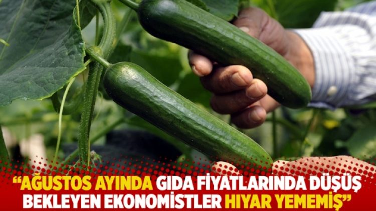 “Ağustos ayında gıda fiyatlarında düşüş bekleyen ekonomistler hıyar yememiş”