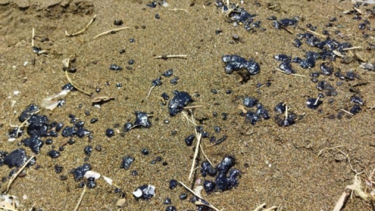 Samandağ’da sahile petrol atığı vurdu, belediye uyardı: Denize girmeyin