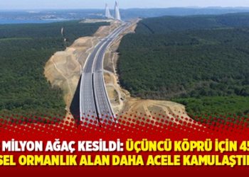 13 milyon ağaç kesildi: Üçüncü köprü için 456 parsel ormanlık alan daha acele kamulaştırıldı