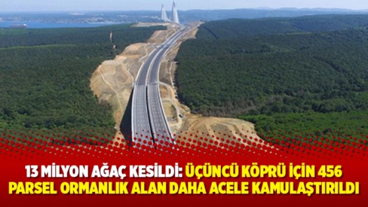 13 milyon ağaç kesildi: Üçüncü köprü için 456 parsel ormanlık alan daha acele kamulaştırıldı
