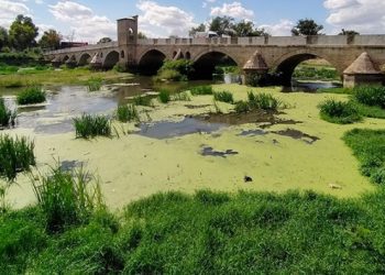 Tunca Nehri çöple kaplandı, Meriç Nehri arsaya döndü