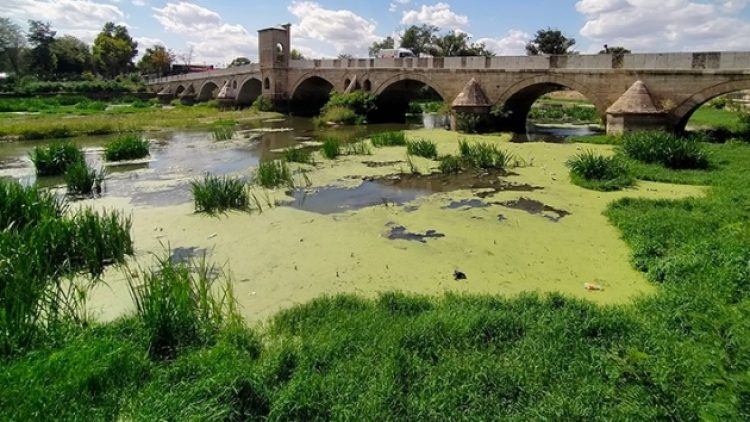 Tunca Nehri çöple kaplandı, Meriç Nehri arsaya döndü