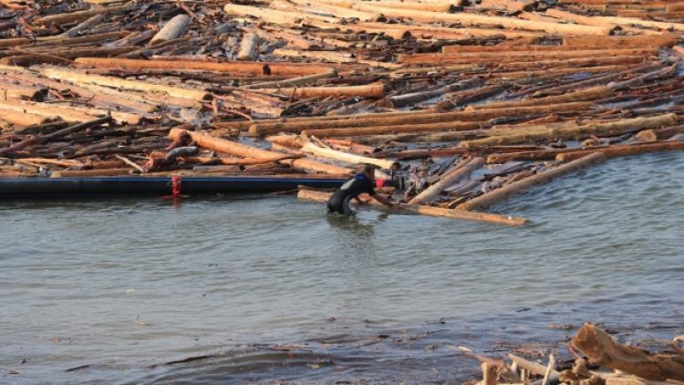 Balık avcılığında ‘tomruk’ endişesi: Batma tehlikemiz var