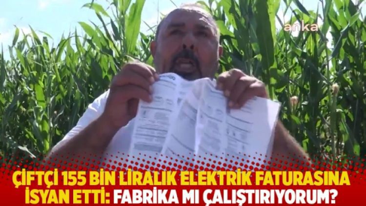 Çiftçi 155 bin liralık elektrik faturasına isyan etti: Fabrika mı çalıştırıyorum?