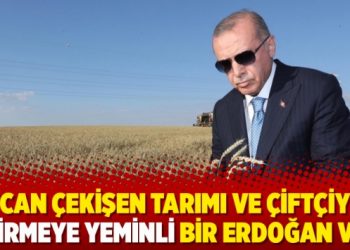 ‘Can çekişen tarımı ve çiftçiyi bitirmeye yeminli bir Erdoğan var’