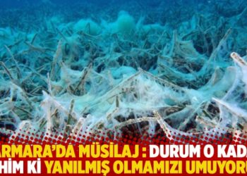 Marmara’da müsilaj: Durum o kadar vahim ki yanılmış olmamızı umuyorum